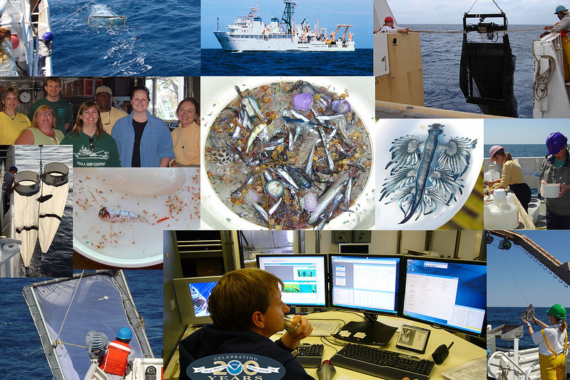 NOAA 200 photo collage