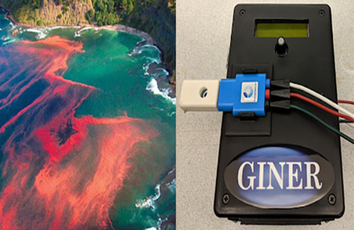 Low-Cost Instrument Detection of in Seawater During Harmful Algal Blooms - Tech Partnerships Office