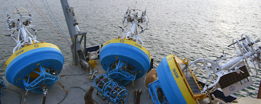 NCEI and WHOI Begin Research Collaboration