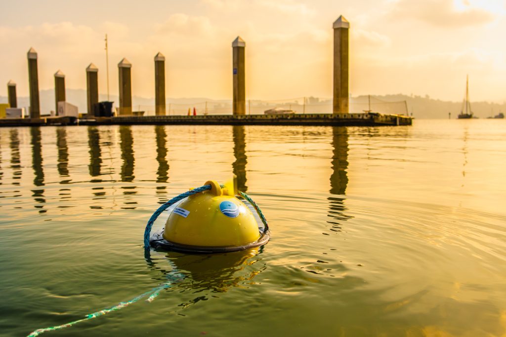 Blue Ocean Gear Smart Buoy in a harbor at sunset