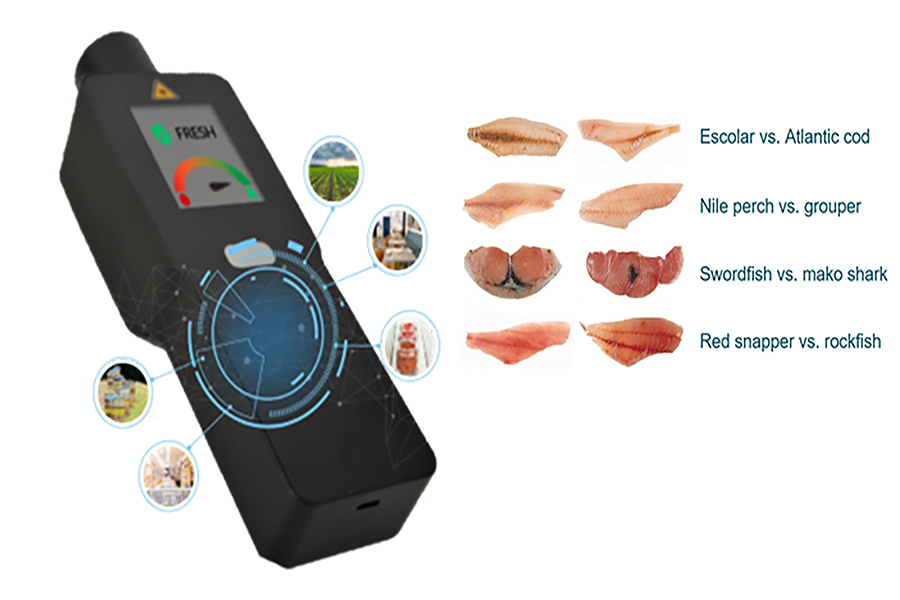 Next-Gen AI-Driven Multimode Spectroscopy: Transforming Seafood Quality, Purity, and Traceability