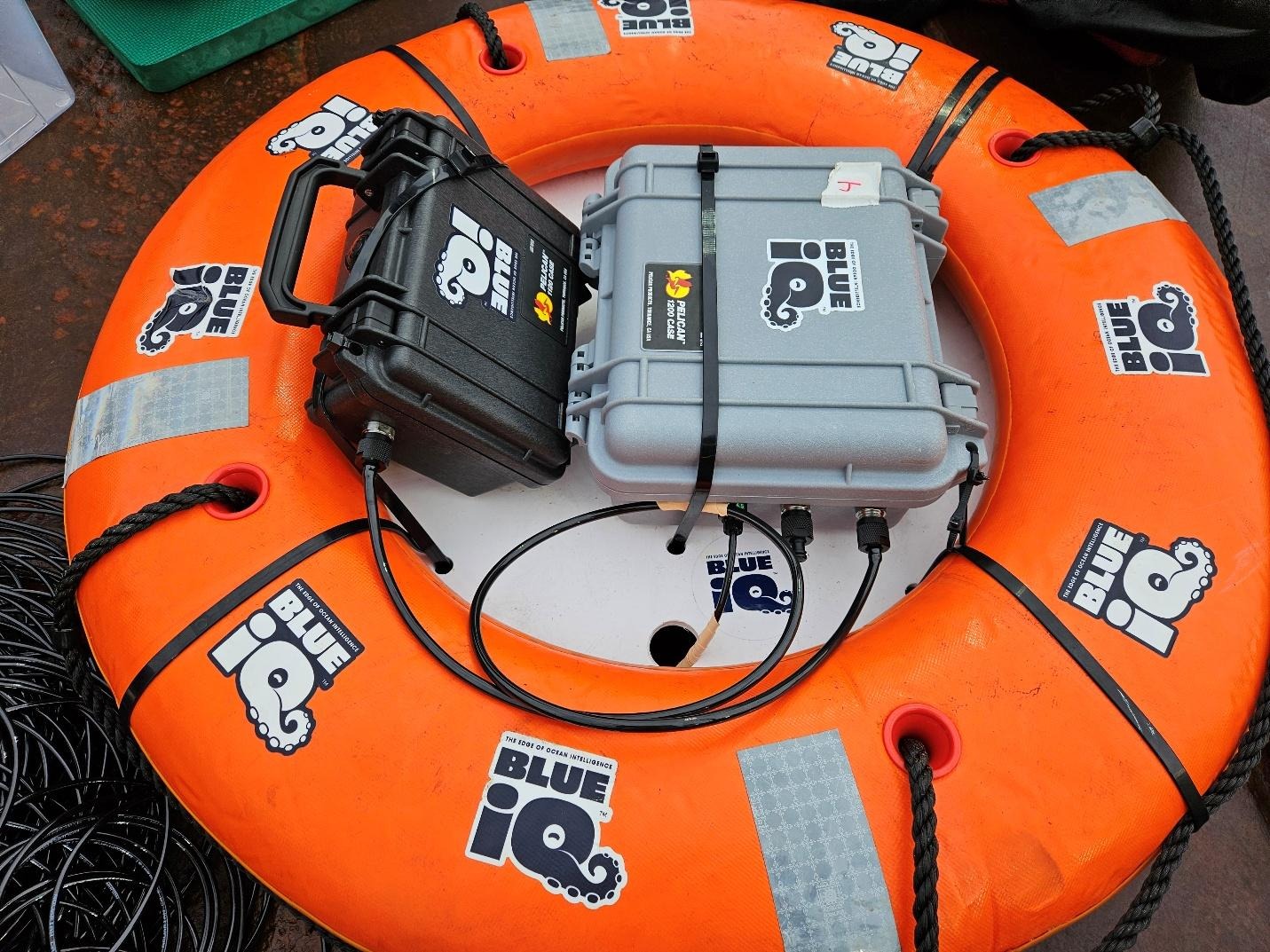 Listening Without Ears: How A Technology Startup Is Helping NOAA Unlock the Sounds of the Sea